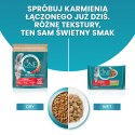 Purina One Cat Sterilcat Karma Z Łososiem Dla Kota 800g