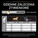 Purina Pro Plan Adult Light Optiweight Sterilised, kurczak i ryż 3kg