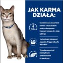 Hill's PD Prescription Diet Feline k/d Kidney Care Wołowina 85g