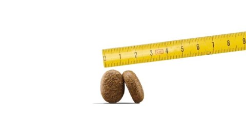 Josera Optiness 900g