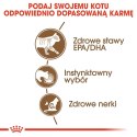 ROYAL CANIN Ageing +12 Gelee 12x85g