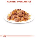 ROYAL CANIN Ageing +12 Gelee 12x85g