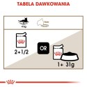 ROYAL CANIN Ageing +12 Gelee 12x85g