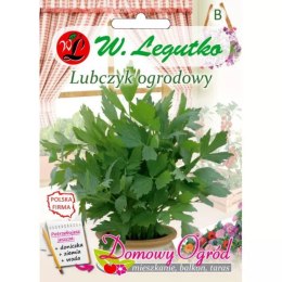 Nasiona lubczyku ogrodowego do ogrodu