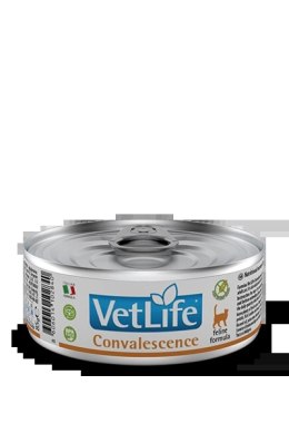 Farmina Vet Life Feline Convalescence 85g