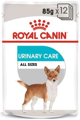 ROYAL CANIN CCN Urinary Care pasztet 12x85g