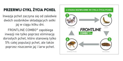 FRONTLINE Combo Spot-On Dla Kotów 3x0,5ml