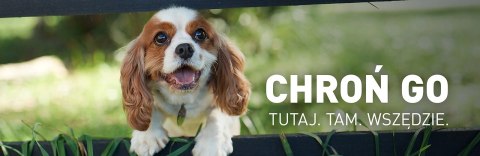 FRONTLINE Spot On Dla Psa 3x2,68ml