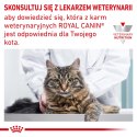 ROYAL CANIN Veterinary Renal Hypoallergenic Feline 400g