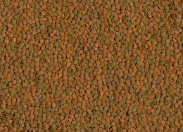 Tetra Wafer Mini Mix 100ml