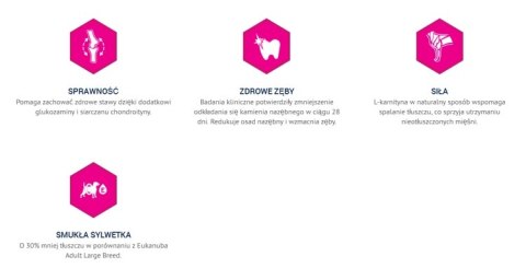 Eukanuba Adult Large Breed Weight Control Chicken 15kg