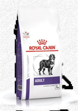 ROYAL CANIN Adult Large Dog 13kg