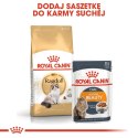 ROYAL CANIN Ragdoll Adult 400g