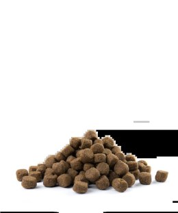 Versele-Laga Opti Life Adult Digestion Medium&Maxi Jagnięcina Z Ryżem 12,5kg