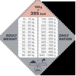 Versele-Laga Opti Life Adult Skin Care Medium&Maxi Z Łososiem 12,5kg