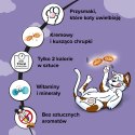 DREAMIES Przysmak Dla Kota Z Kaczką 60g
