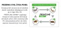 FRONTLINE Combo Spot-On Dla Psa 3x1,34ml