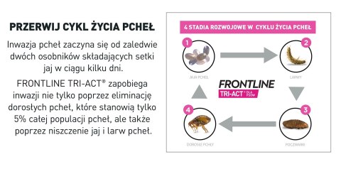 FRONTLINE Tri-Act Dla Psów 3x0,5ml