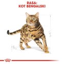 ROYAL CANIN Bengal Adult 10kg