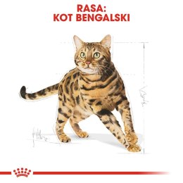 ROYAL CANIN Bengal Adult 10kg