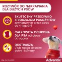 Bayer Advantix Krople Na Kleszcze I Pchły 4x4ml