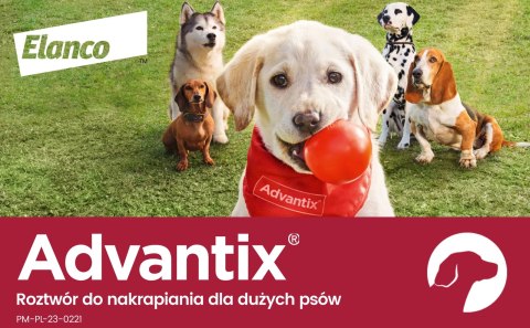 Bayer Advantix Krople Na Kleszcze I Pchły 4x4ml
