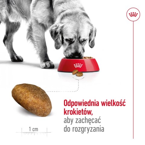 ROYAL CANIN Maxi Adult 15kg