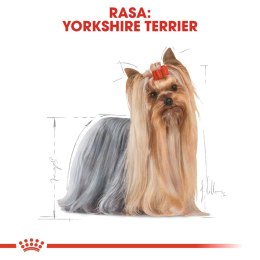 ROYAL CANIN Yorkshire Terrier Adult 500g