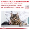 ROYAL CANIN Renal Feline 4kg