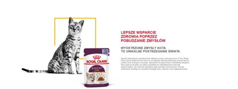 ROYAL CANIN Sensory Taste Kawałki W Sosie 12x85g