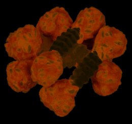 Trixie Denta Fun Przysmak Hantel 100g 6szt