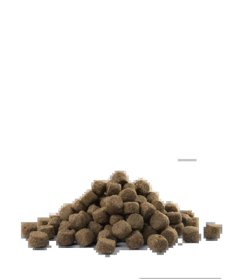 Versele-Laga Opti Life Prime Adult Salmon Karma Bezzbożowa Dla Dorosłych Psów Z Łososiem 12,5kg