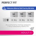 Perfect Fit™ - sucha karma pełnoporcjowa dla dorosłych kotów, bogata w wołowinę 7kg